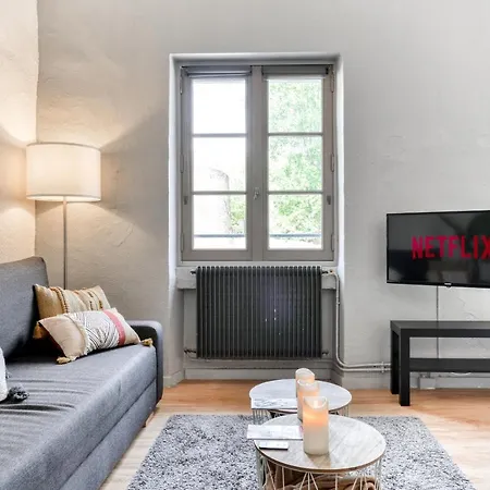 Le Cocon / Free Parking / Wifi / Netflix Apartamento *