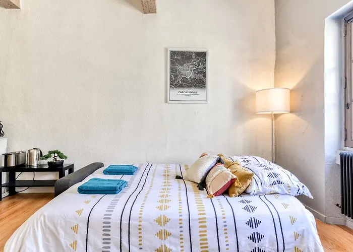 Le Cocon / Free Parking / Wifi / Netflix * Carcassonne